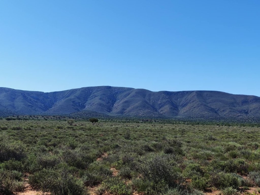 5 Bedroom Property for Sale in Steytlerville Eastern Cape